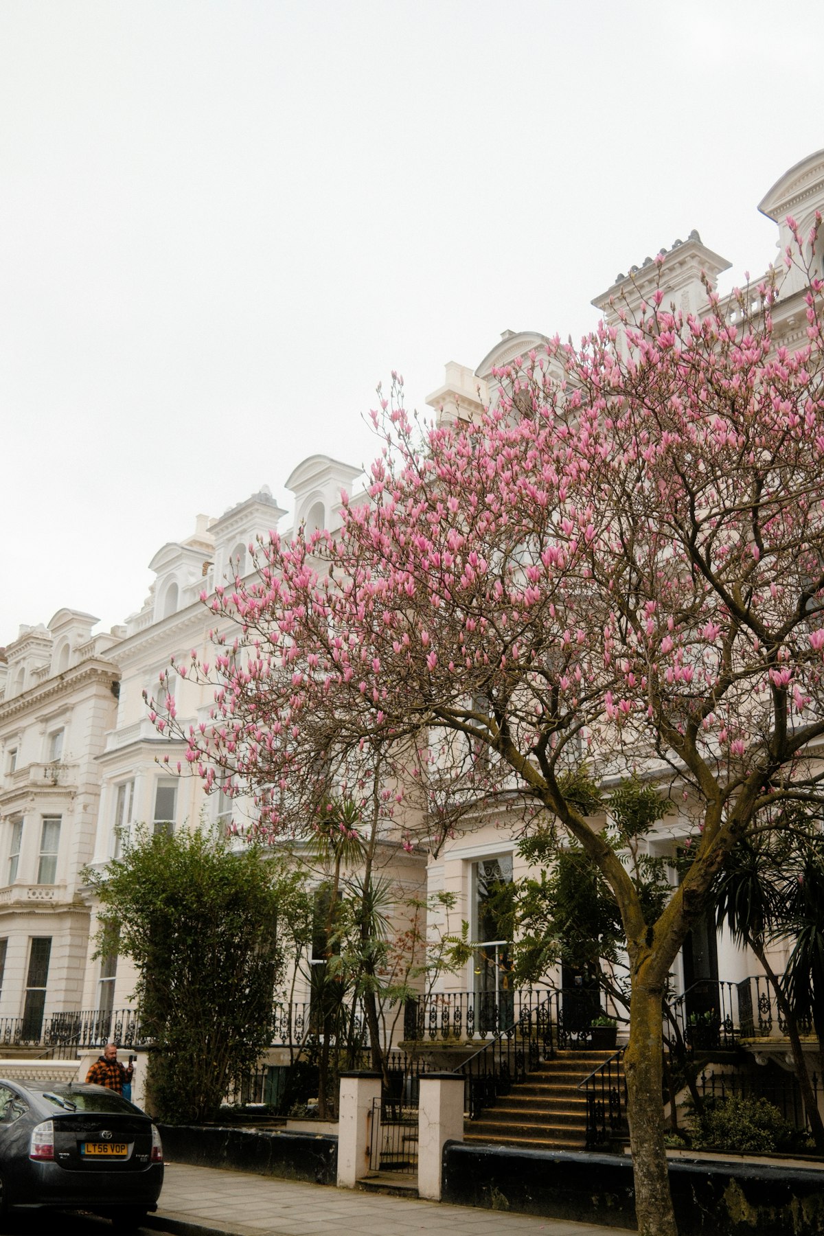 A leafy residential street in West London
